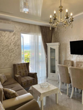 Central City Apartment
